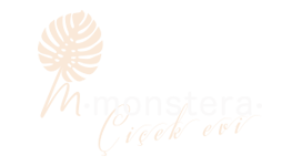 Monstera Çiçek Evi - Goreel Works referansı